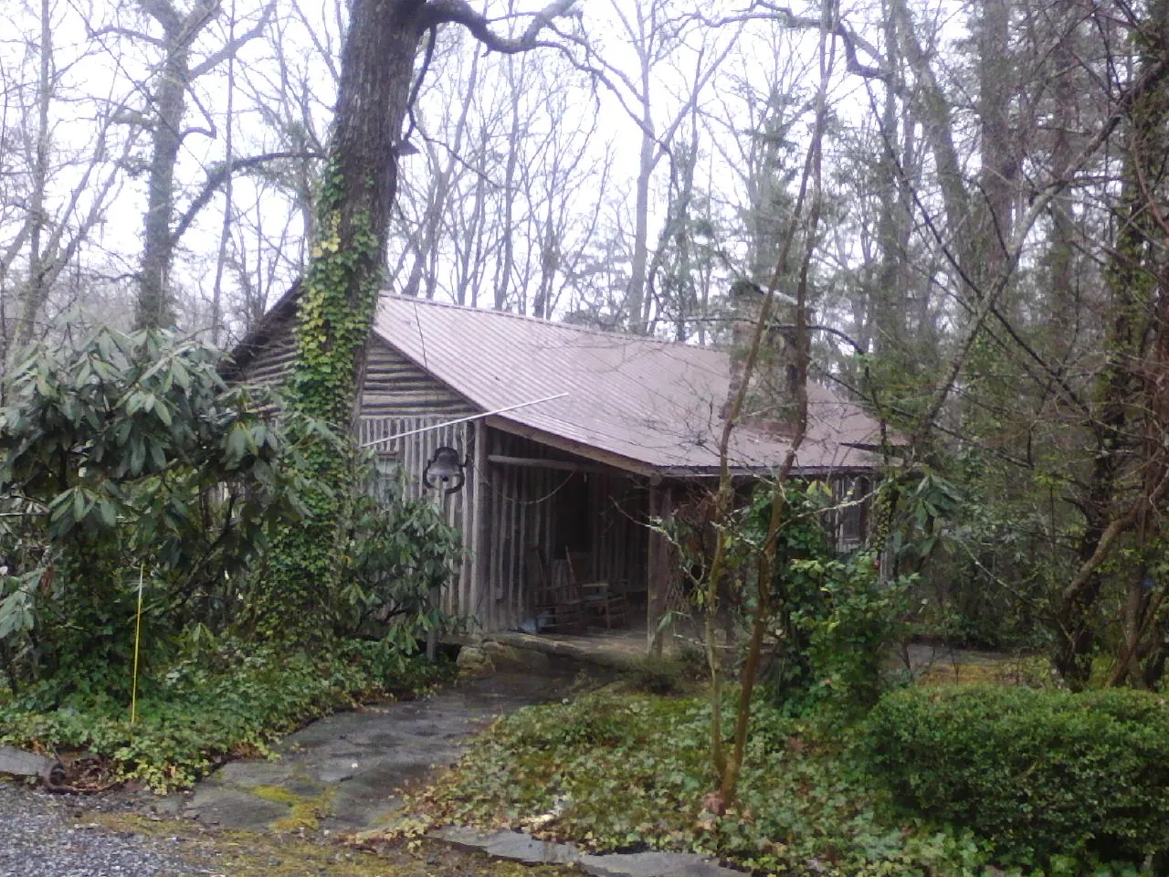 Weathered metal roof on an old board sided cabin in the woods in Leesburg